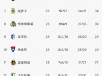开云体育平台-包含里尔主场再添一胜，继续领先积分榜的词条